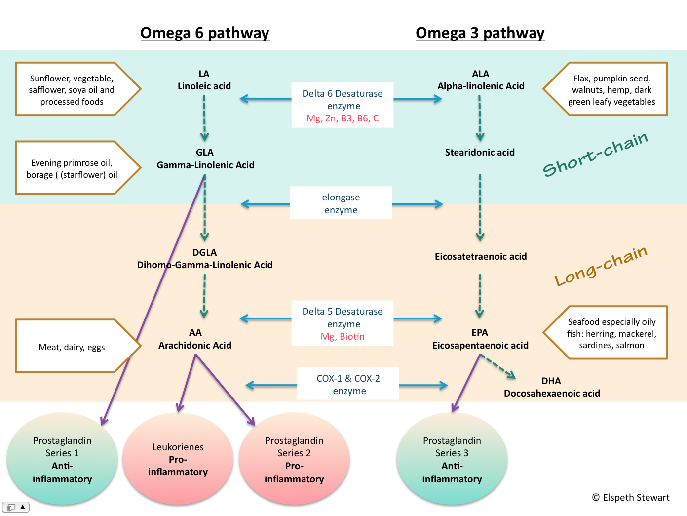 nonalcoholic-lipid-accumulation-and-hepatocyte-malignant-transformation