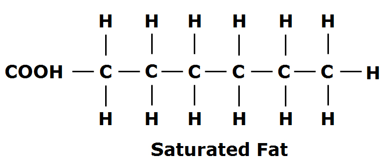 Fats - Everything You Ever Wanted to Know - Fusion Health and Wellness